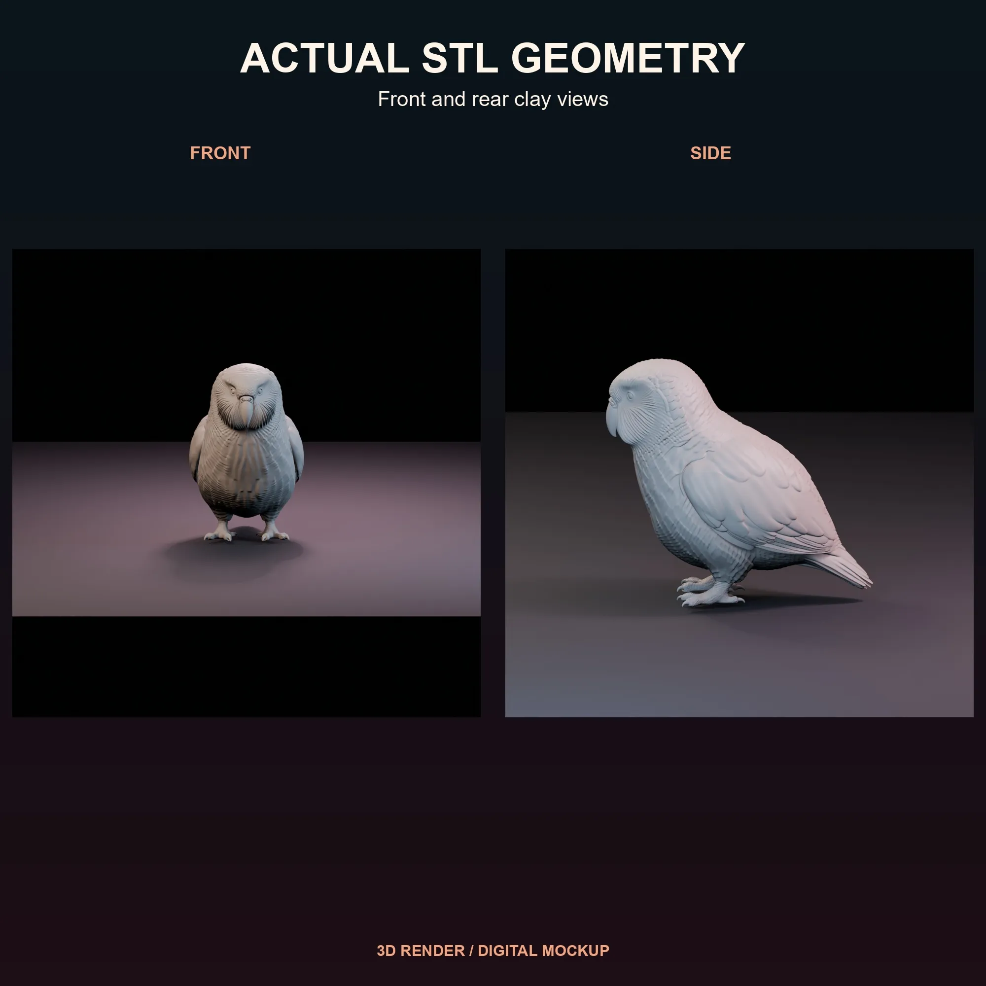 Untextured view showing the actual kākāpō STL geometry.