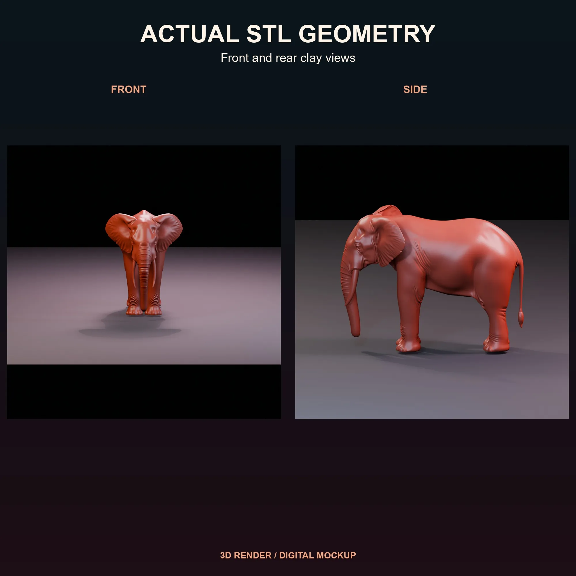 Untextured view showing the actual African forest elephant STL geometry.