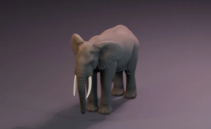 Textured inspiration render of the African forest elephant model.
