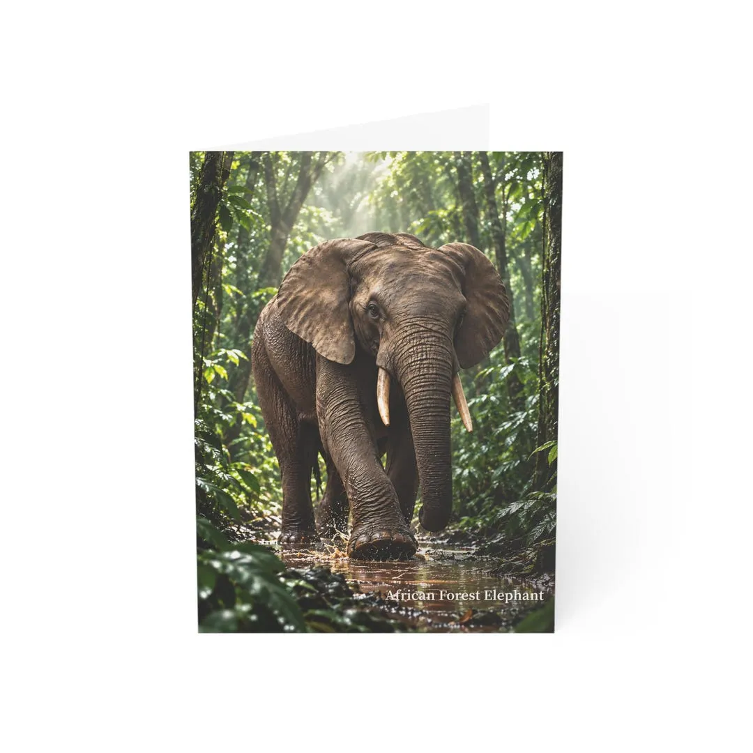 African forest elephant wildlife greeting card mockup with rainforest artwork on the front.