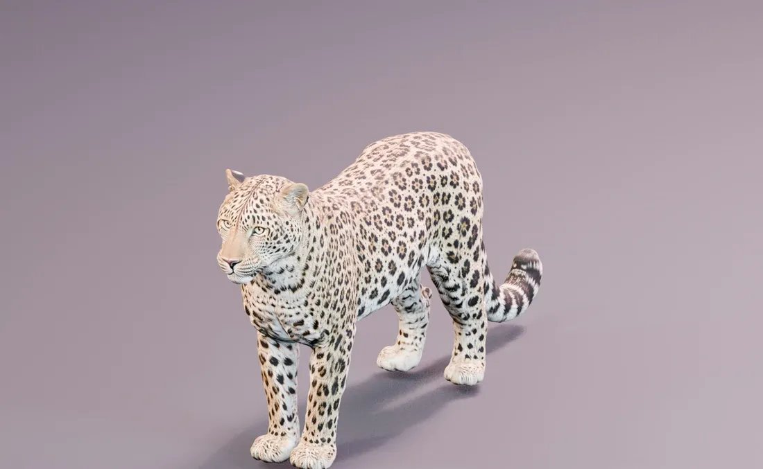 Textured inspiration render of the Amur leopard model.