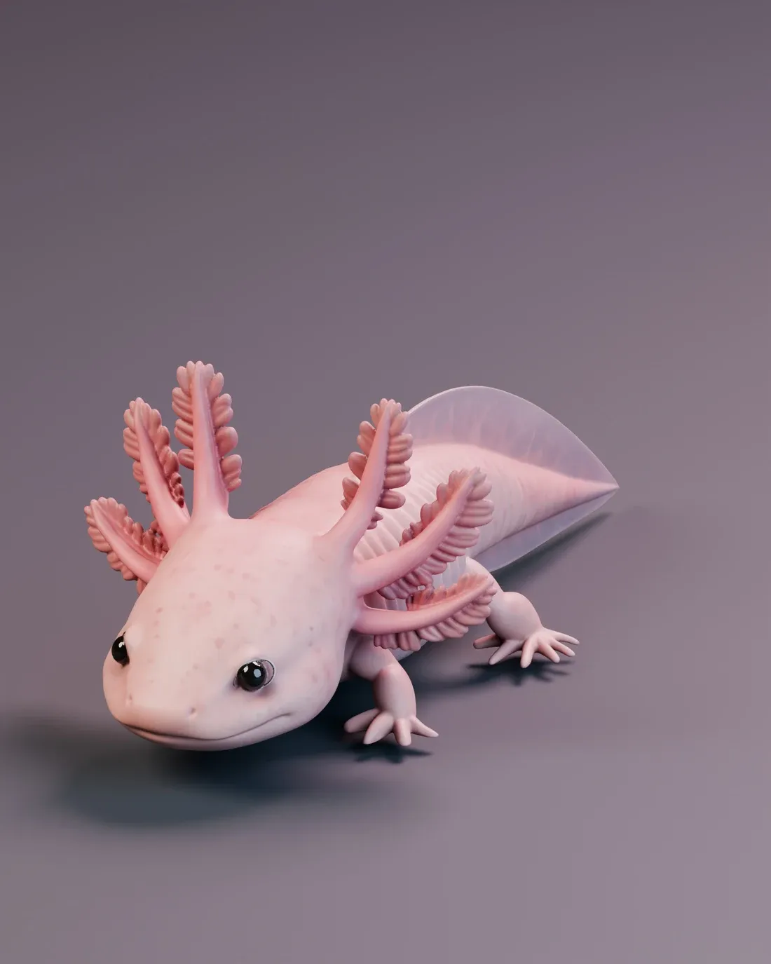 Textured inspiration render of the rosy axolotl model.