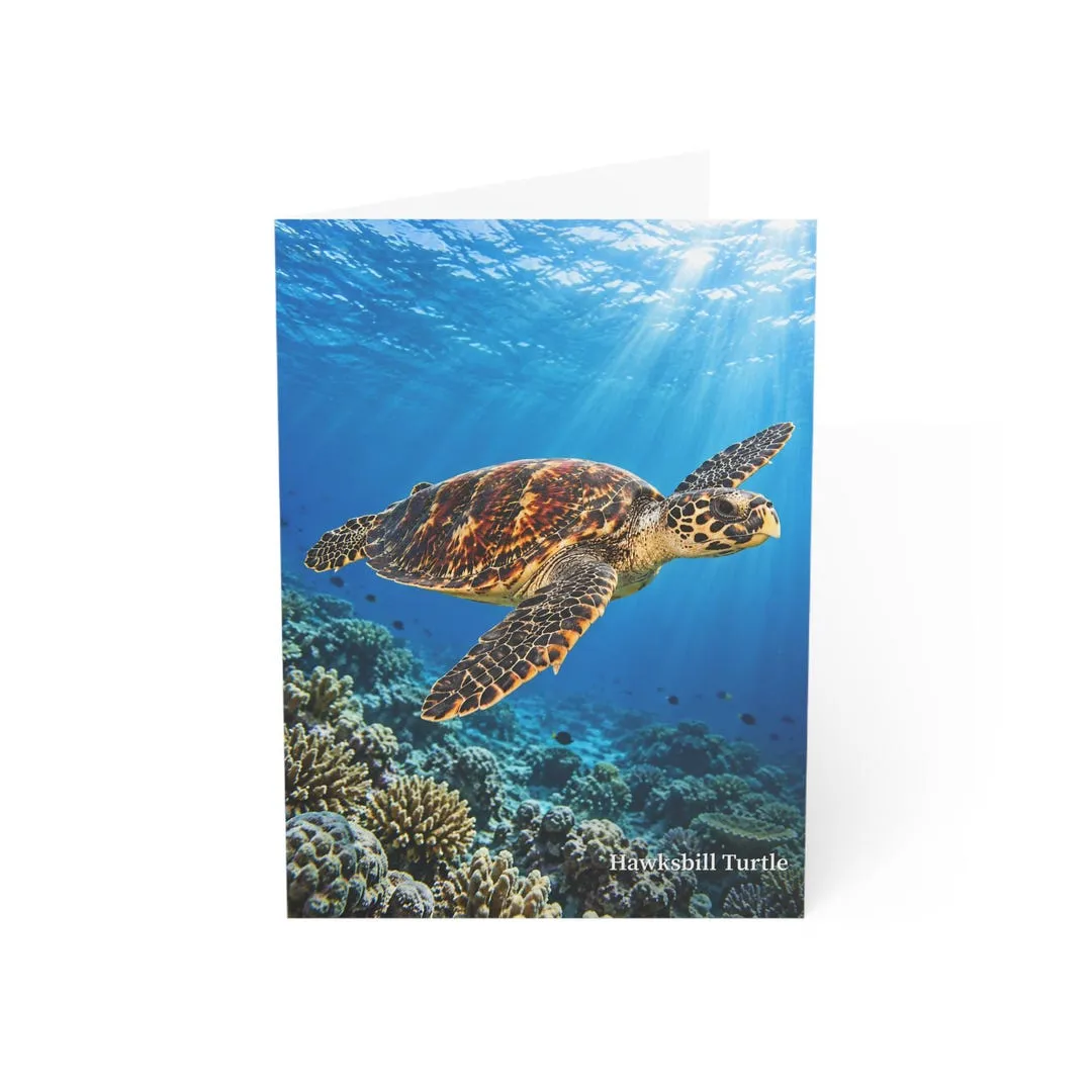 Hawksbill turtle wildlife greeting card mockup with coral reef artwork on the front.