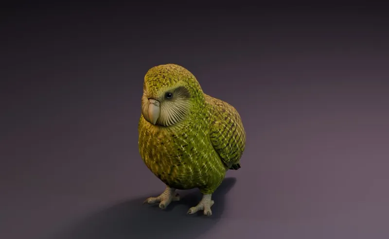 Textured inspiration render of the kākāpō model.
