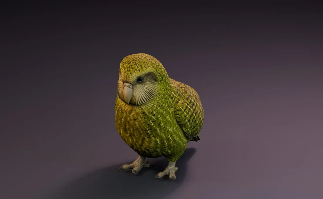 Textured inspiration render of the kākāpō model.