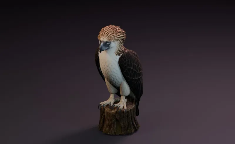 Textured inspiration render of the Philippine eagle model.