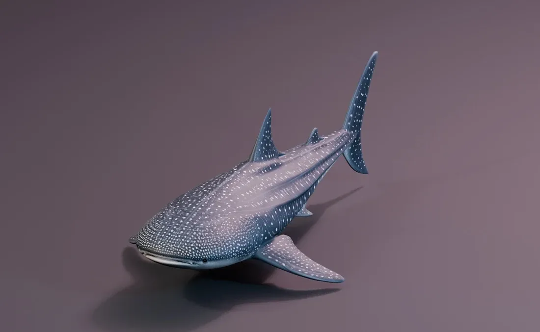 Textured inspiration render of the whale shark model.